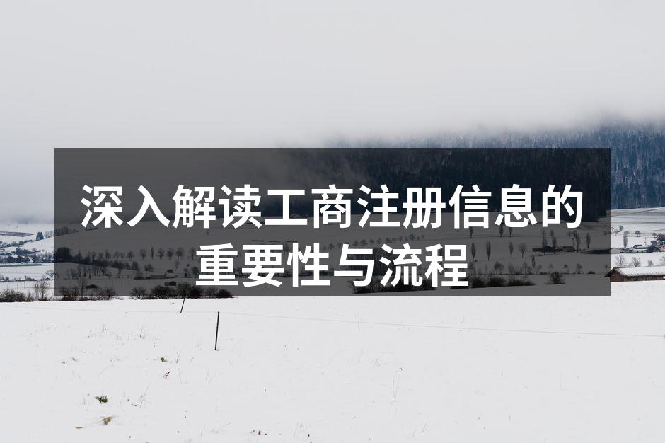深入解读工商注册信息的重要性与流程