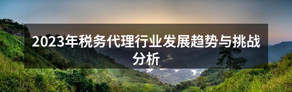 2023年税务代理行业发展趋势与挑战分析