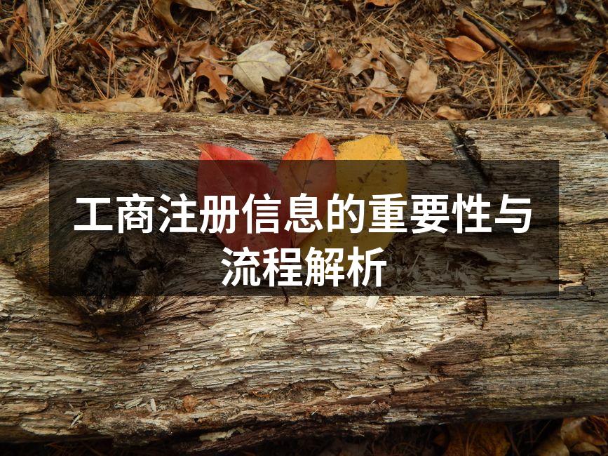 工商注册信息的重要性与流程解析