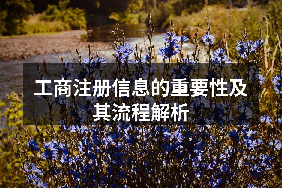 工商注册信息的重要性及其流程解析