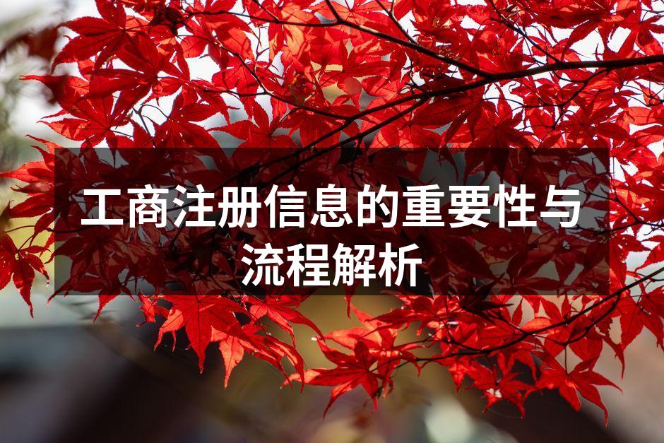 工商注册信息示例