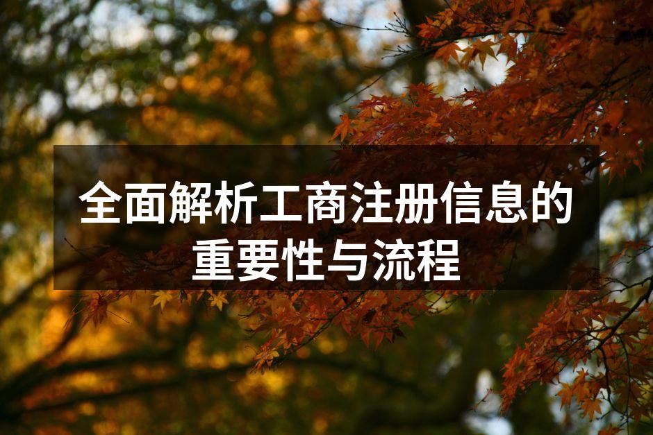 全面解析工商注册信息的重要性与流程