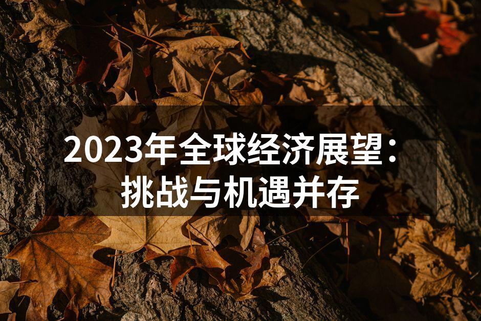 2023年全球经济展望：挑战与机遇并存